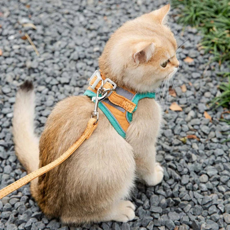 Ausbruchsicheres Katzengeschirr mit Leine – verstellbare reflektierende Weste