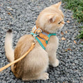 Ausbruchsicheres Katzengeschirr mit Leine – verstellbare reflektierende Weste
